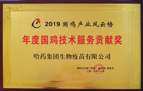 2019uaIPưȇugؕI