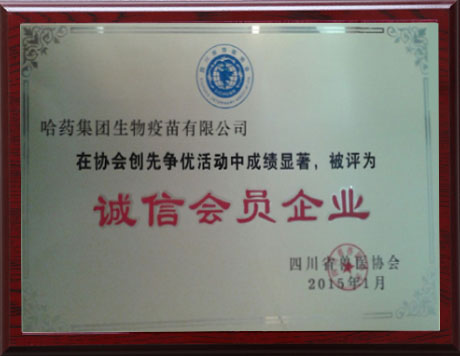 2015\ŕTI-ĴʡFtf